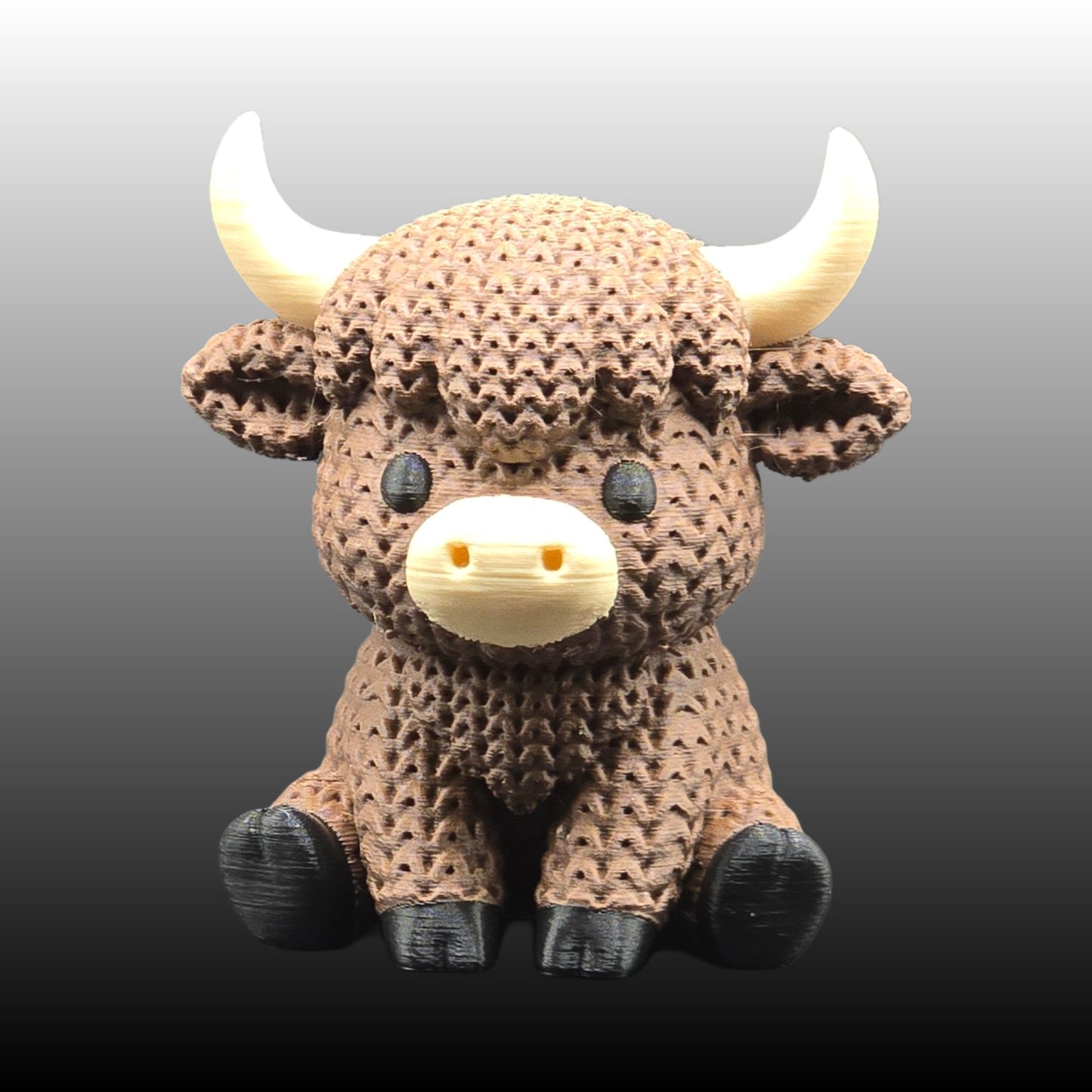 Highland Cow