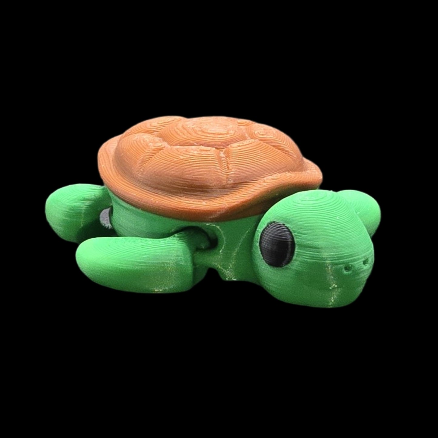 Turtle