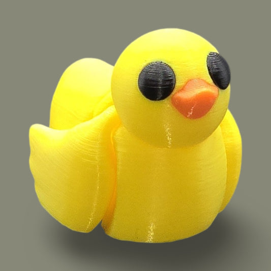 Duck