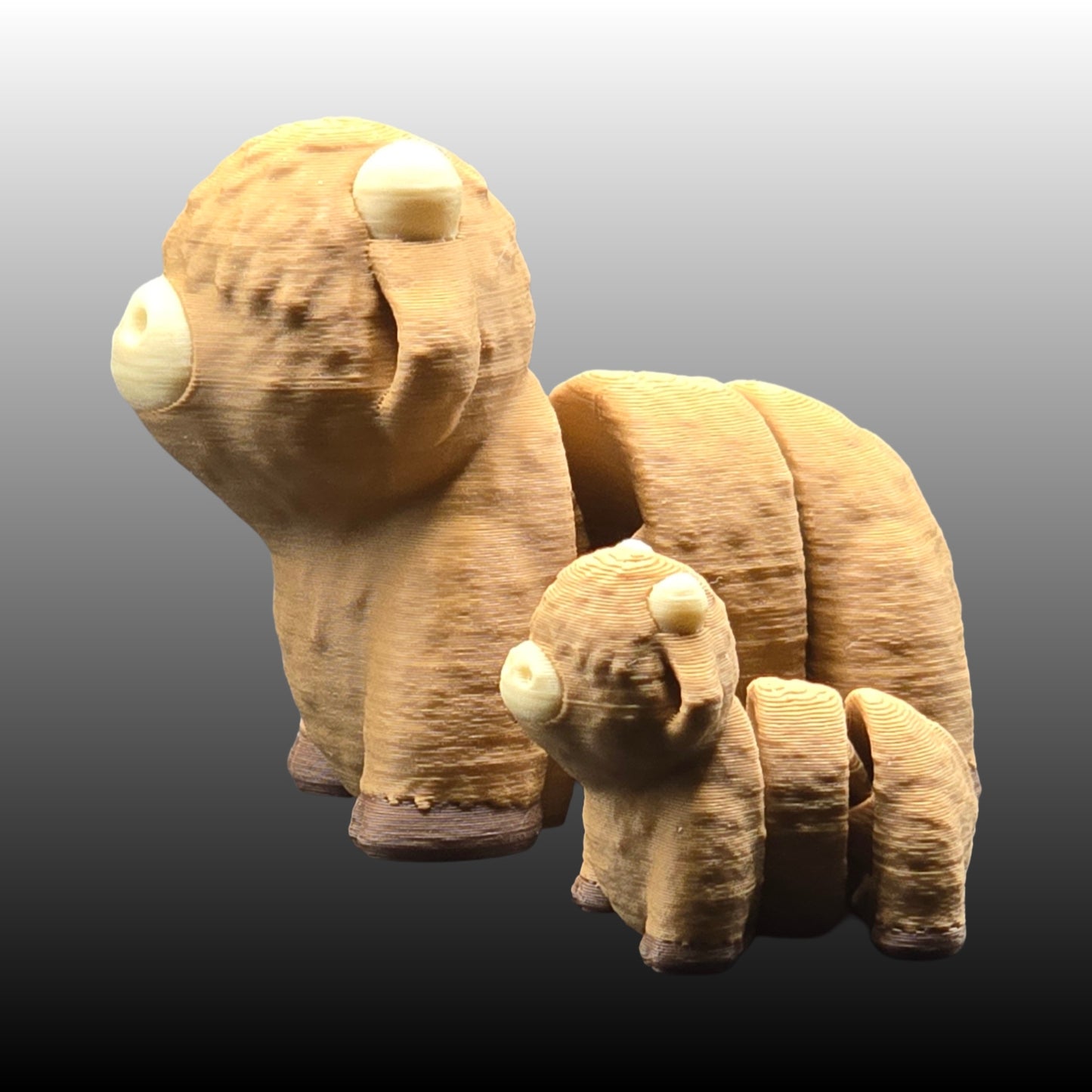 Highland Cow