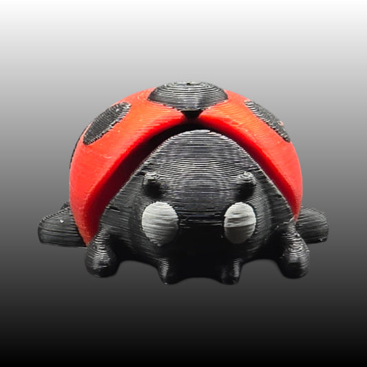 Ladybug