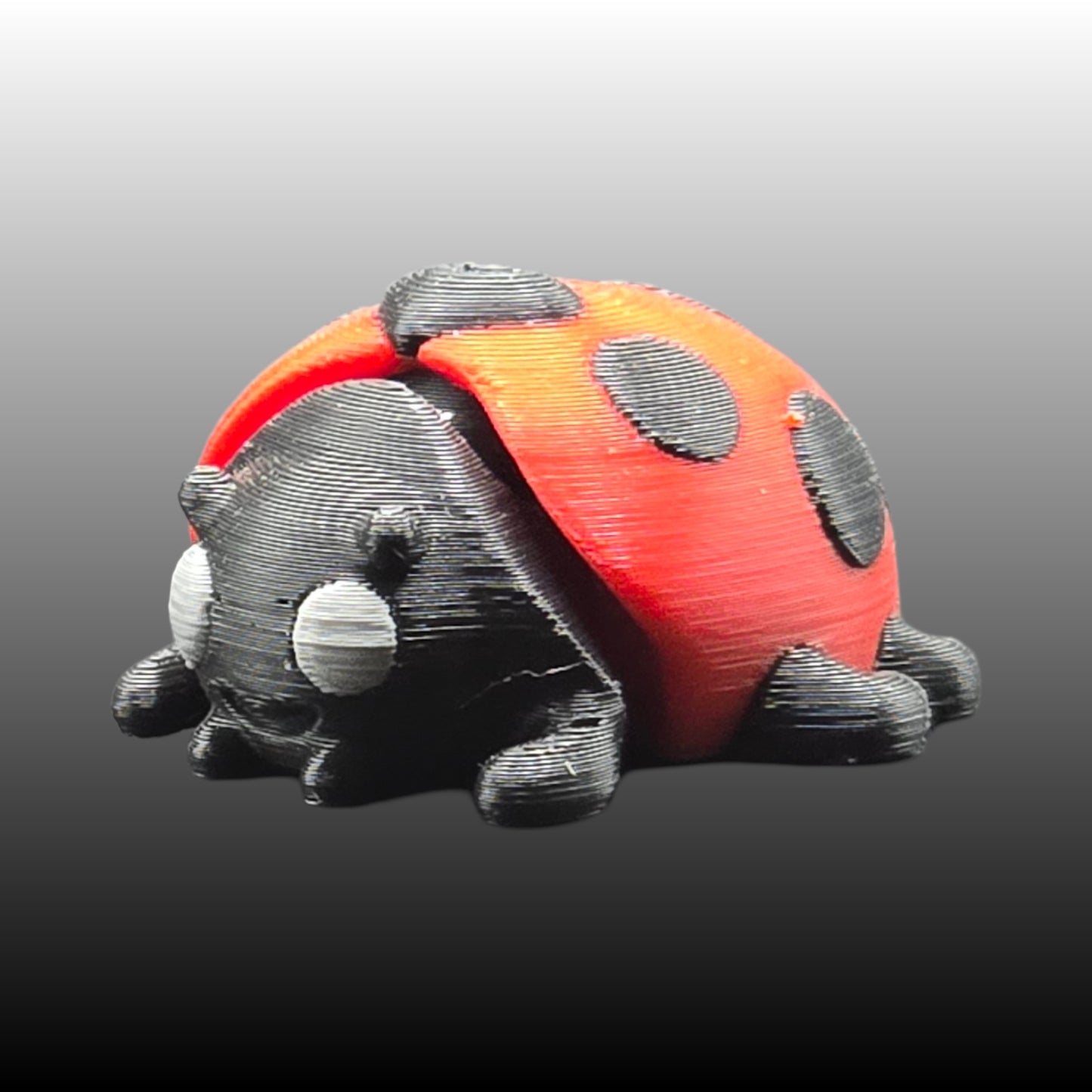 Ladybug