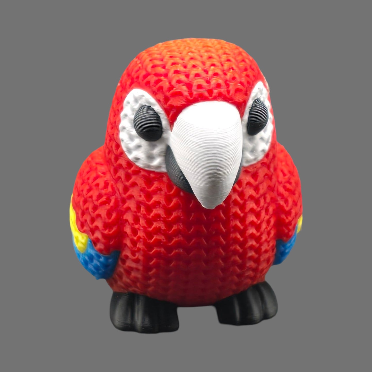 Macaw
