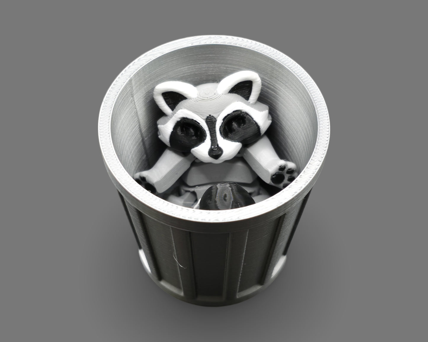 Raccoon w/Trash Can
