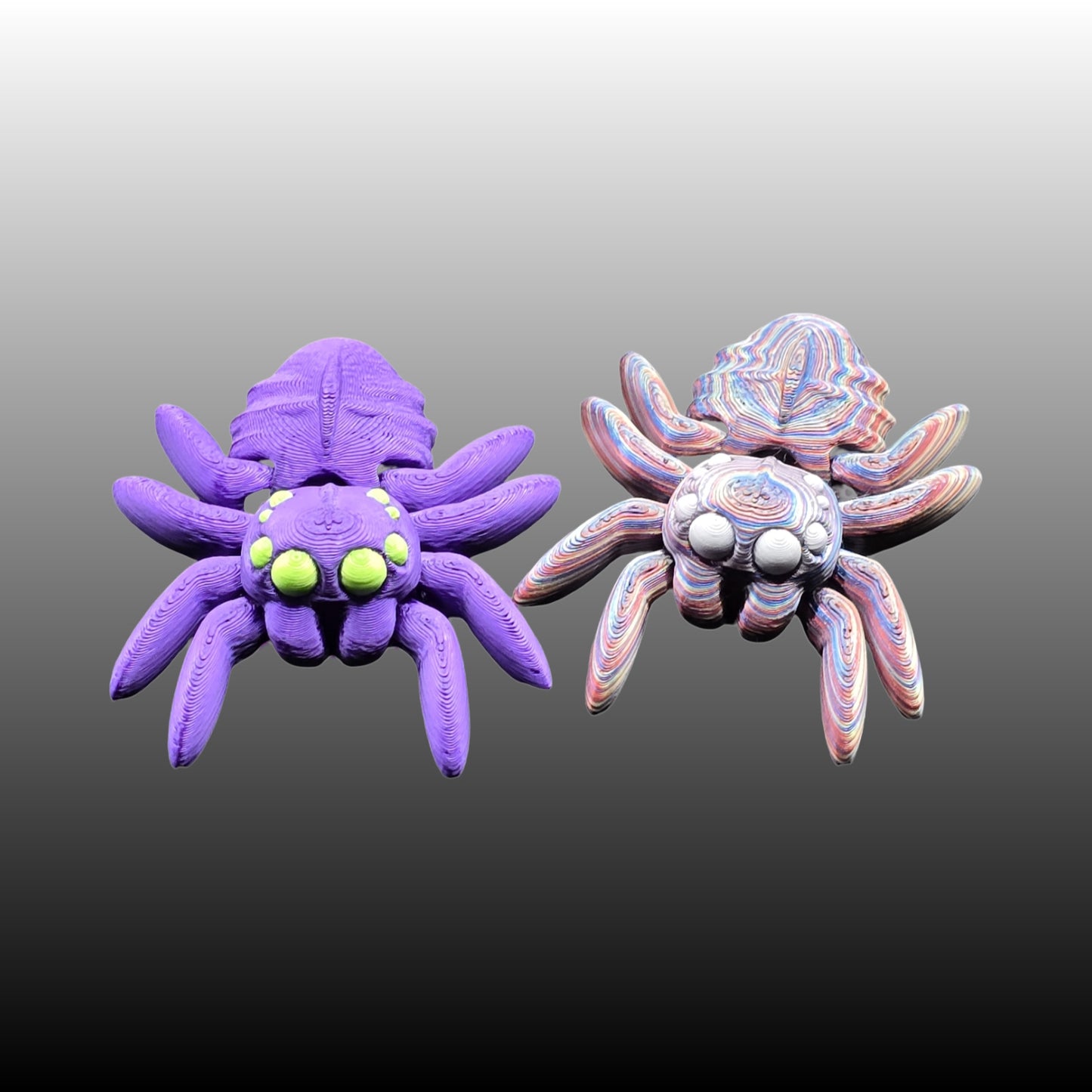 Spider
