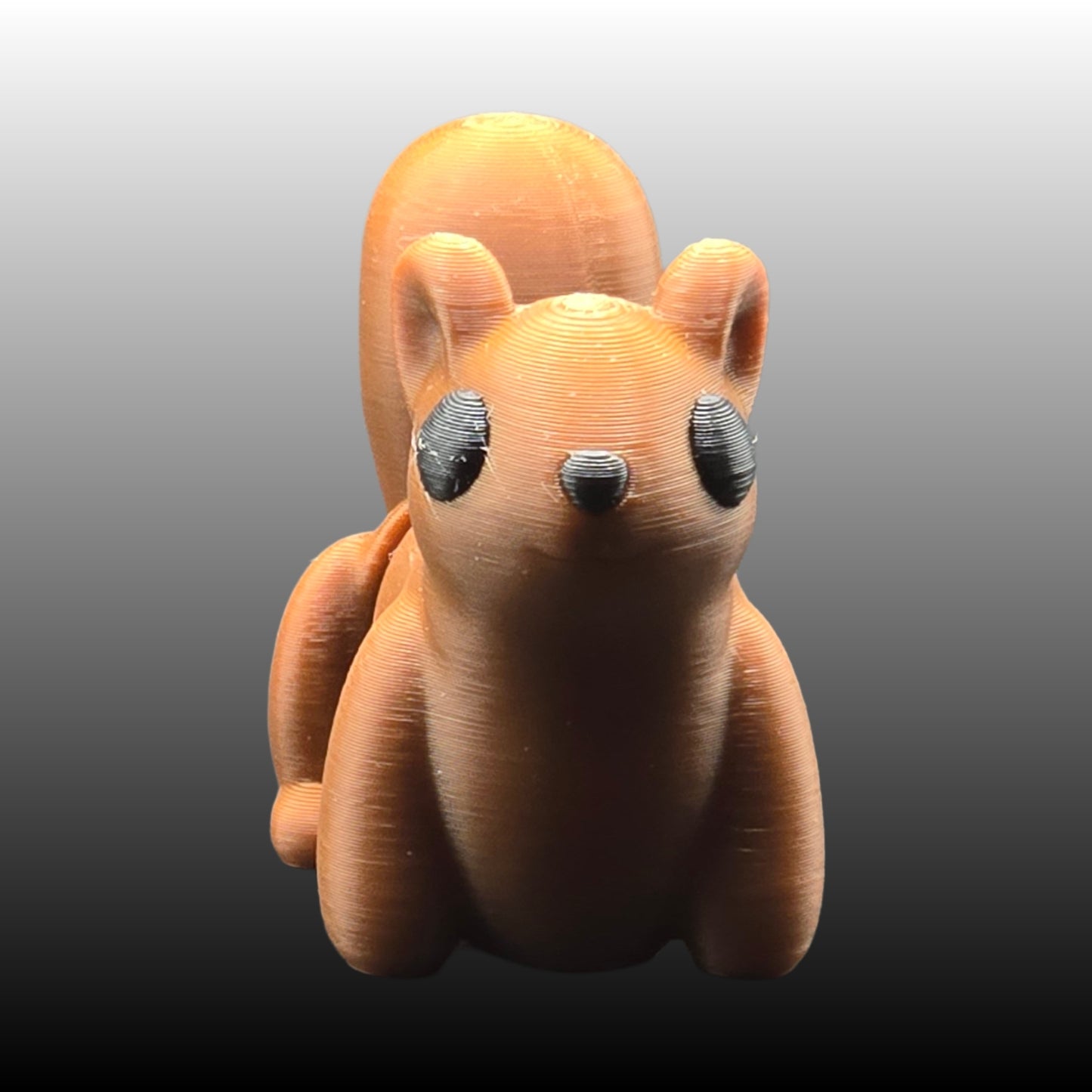 Squirrel